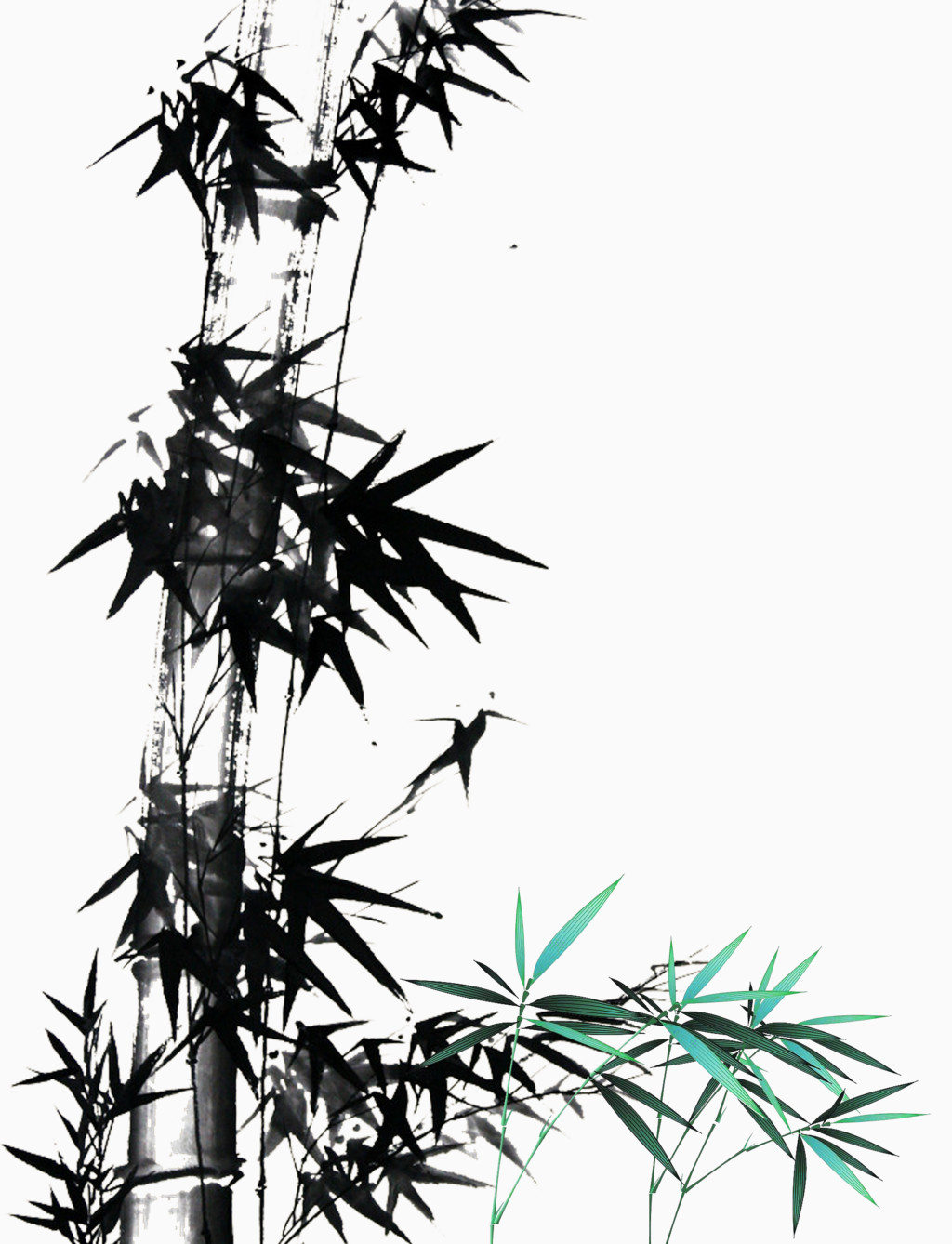 ˮī