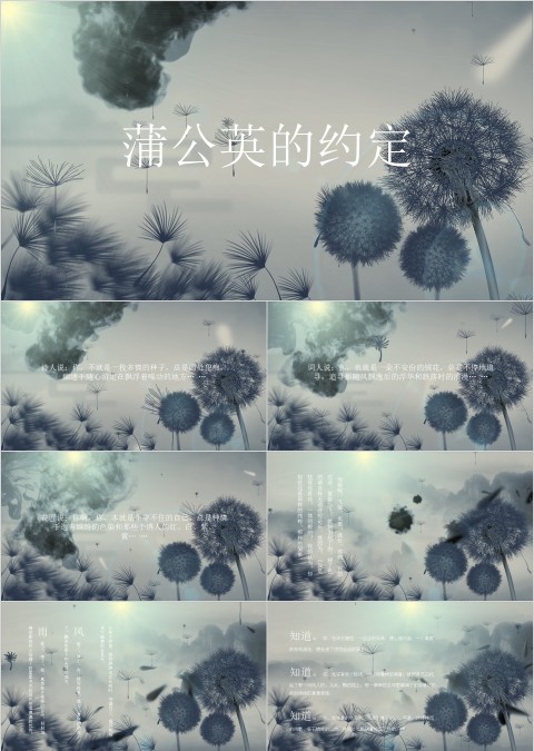 创意蒲公英的约定PPT