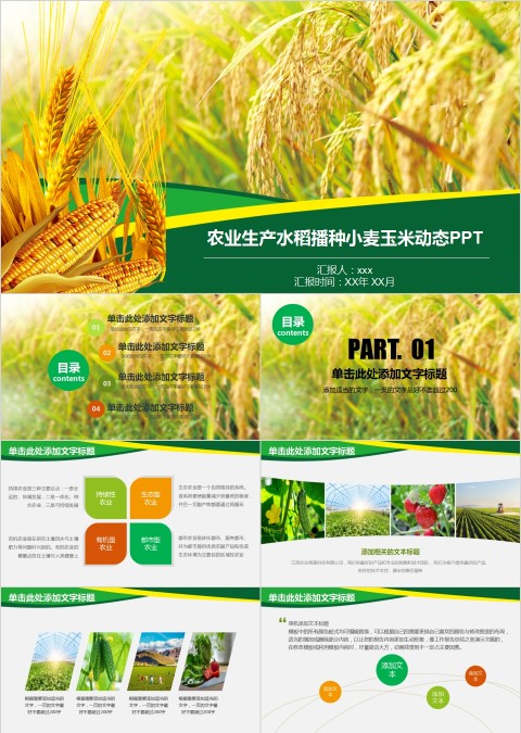农业生产水稻播种小麦玉米动态PPT