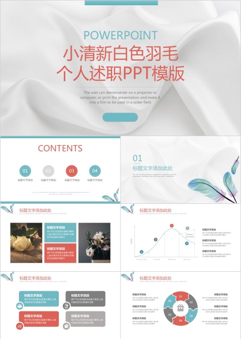 小清新白色羽毛个人述职ppt模板