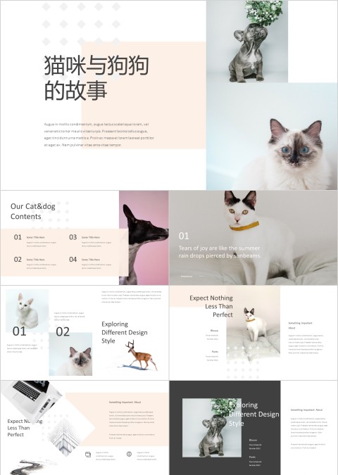 猫咪与狗狗 的故事