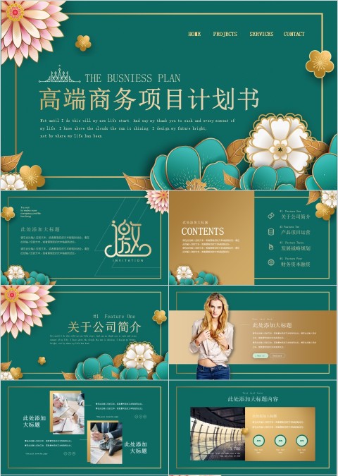 高端商务项目计划书swot分析