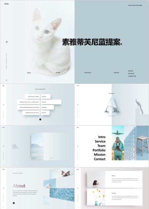 素雅蒂芙尼蓝提案