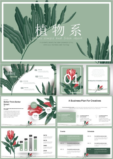 植物系文艺范工作总结PPT 