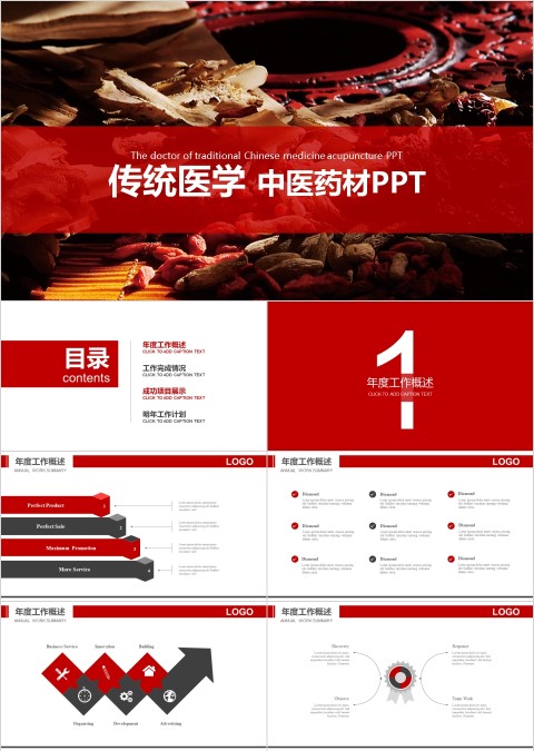 传统医学中医药材工作概述PPT