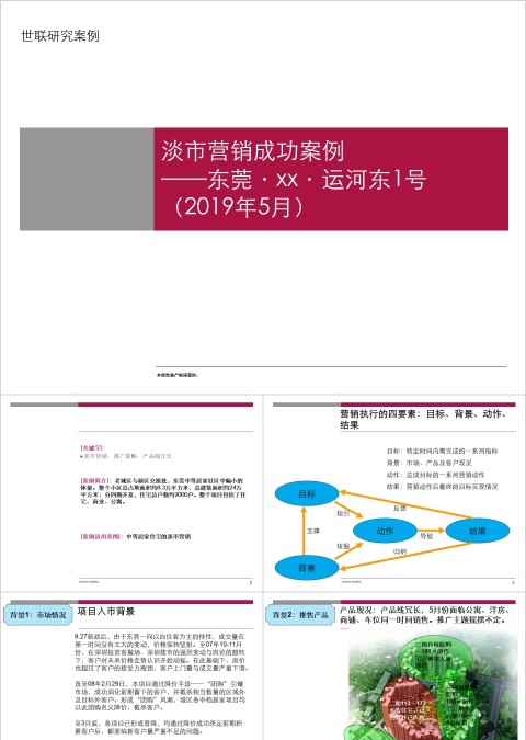 房地产项目营销成功案例分析ppt