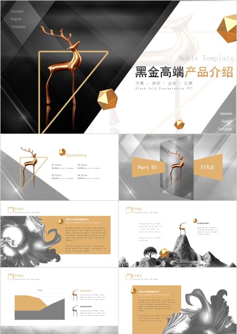 黑金高端产品介绍PPT模板