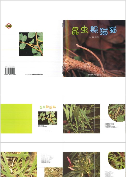 昆虫躲猫猫幼儿绘本教育课件 