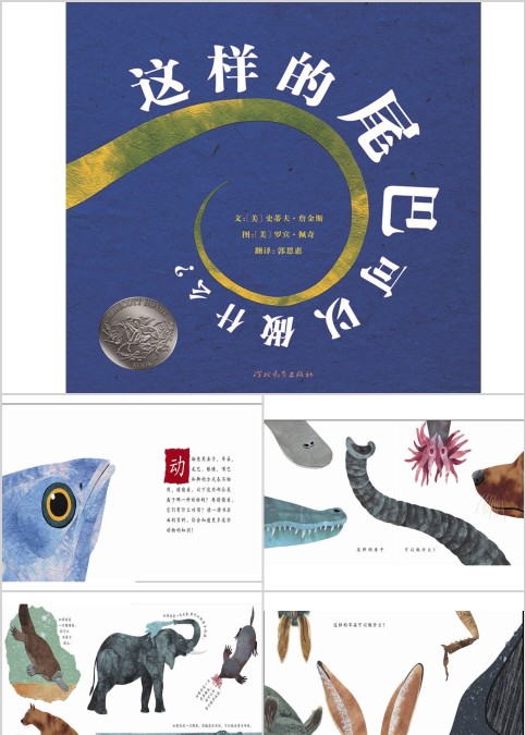 这样的尾巴可以做什么幼儿绘本教育课件