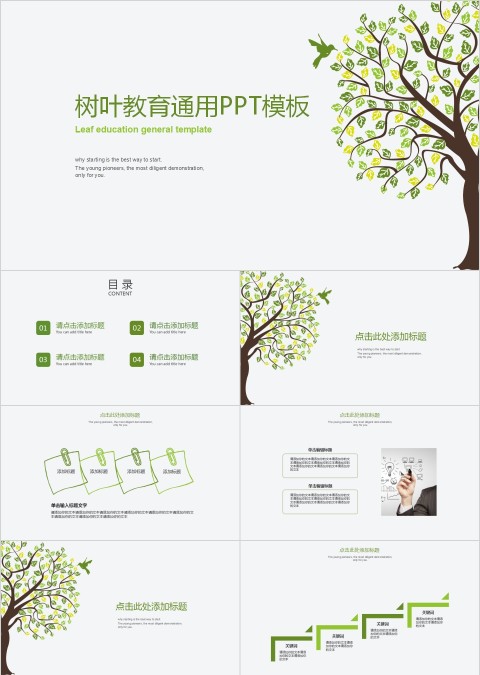 树叶教育通用PPT模板
