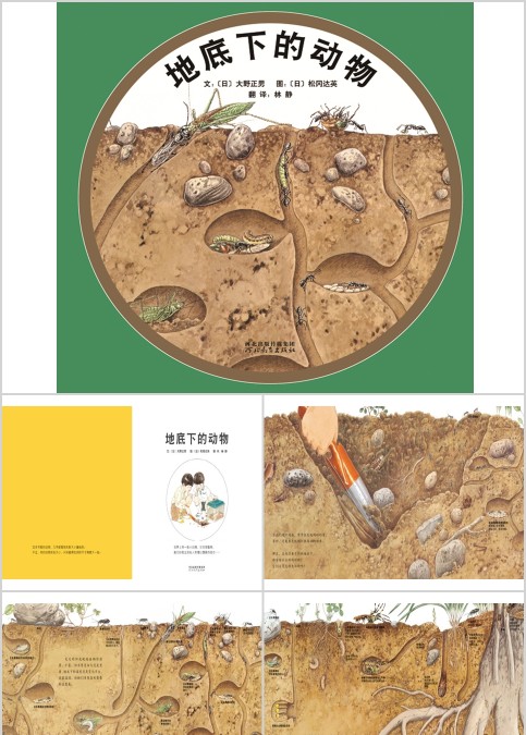 地底下的动物幼儿绘本教育课件
