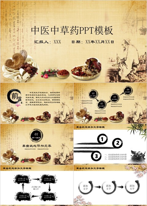 中医中草药PPT模板