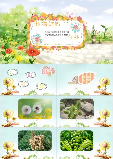 植物妈妈有办法ppt