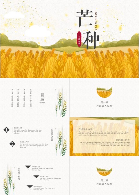 二十四节气民俗介绍芒种PPT模板