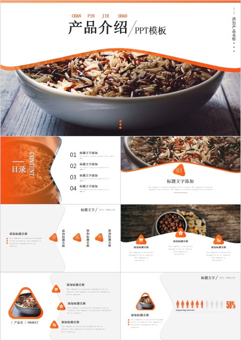 简约大风格产品介绍PPT模板 