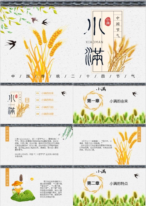 简约麦穗二十四节气之小满ppt模板