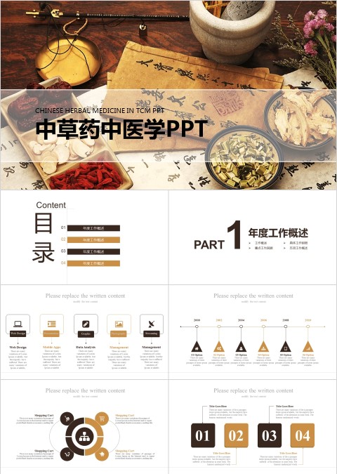中草药中医学工作概述PPT