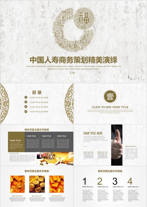 中国人寿保险公司商务策划ppt模板