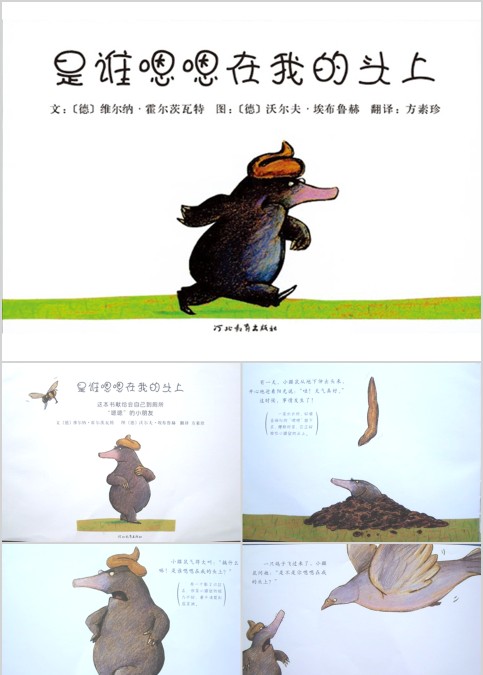 是谁嗯嗯在我的头上幼儿绘本教育课件