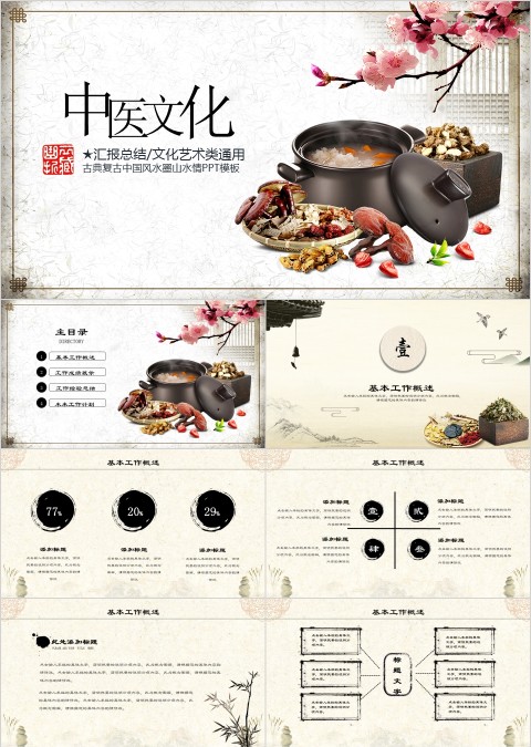 中医养身工作概述完成情况PPT模板