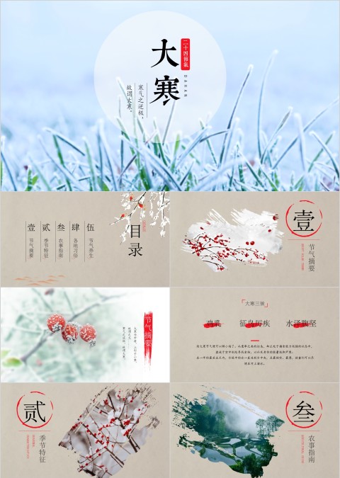 灰色简约二十四节气大寒传统节气PPT模板