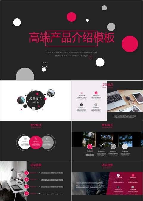 高端大气风格产品介绍PPT模板