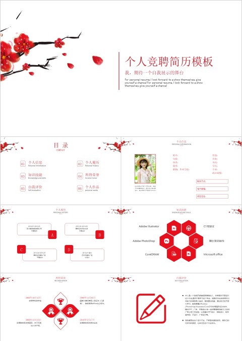 个人竞聘简历模板工作总结PPT