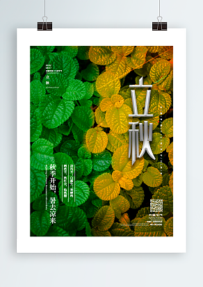 传统节气立秋：秋季开始，暑去凉来