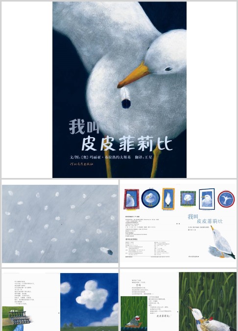 我叫皮皮菲莉比绘本故事ppt