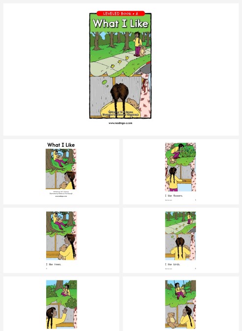 卡通英语绘本whatilike教学ppt