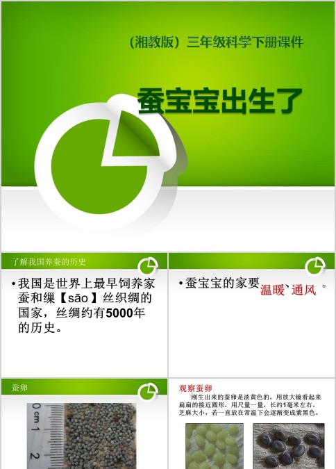 蚕宝宝出生啦生活观察日记