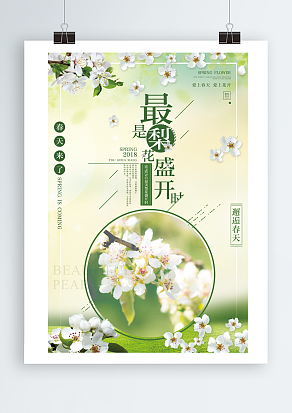 最是梨花盛开时