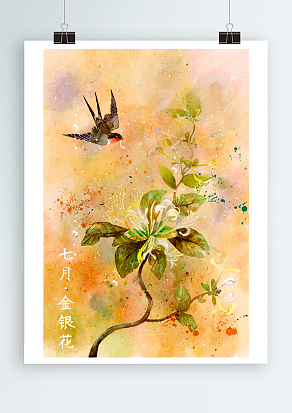 花茶之王，金银花茶，珍贵药材