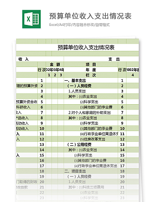 公司预算单位收入支出情况表excle表格模板