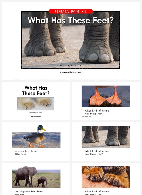 卡通英语绘本whathasthesefeet教学模板PPT