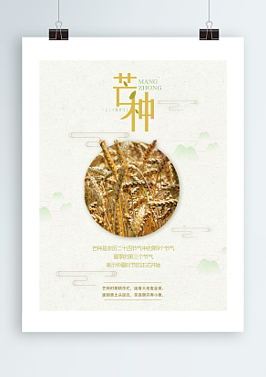 2020芒种：气灼艳娇阳，麦芒韵黄金