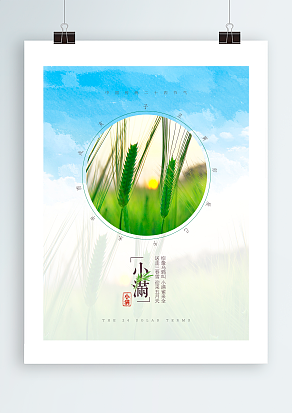 2020小满：惊蛰乌鸦叫，小麦雀来全