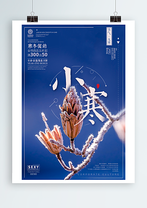 偶遇冬日无私赏光，才读懂那日晴空珍重