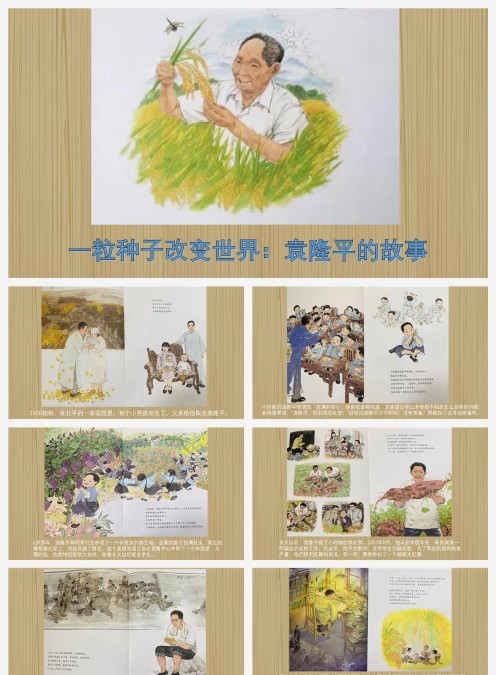 绘本故事一粒种子改变世界袁隆平的故事
