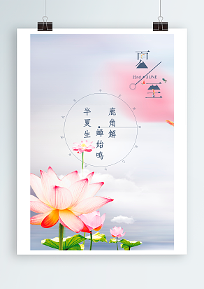 夏至:迎光舞缤纷，仲夏藏奇珍