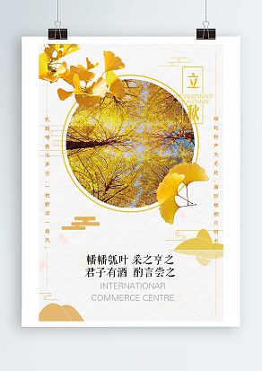 睡起秋声无觅处，满街梧桐月明中——立秋