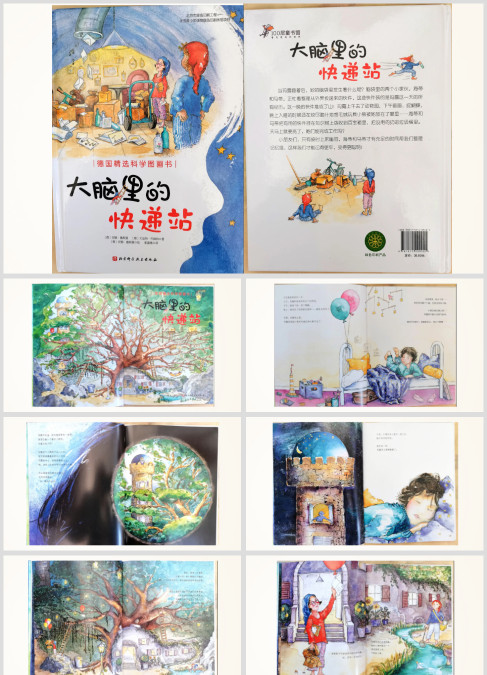 科学绘本故事《大脑里的快递站》ppt