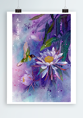 大千世界真正能打动人心的莫过于昙花一现