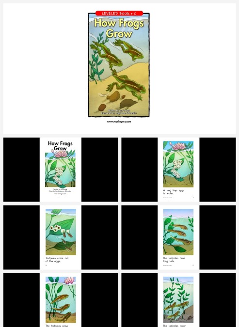 卡通英语绘本howfrogsgrow教学PPT