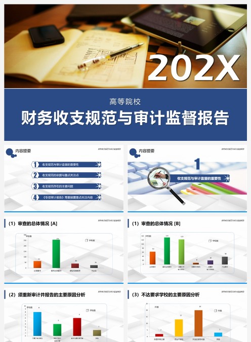 202X财务收支规范与审计监督报告