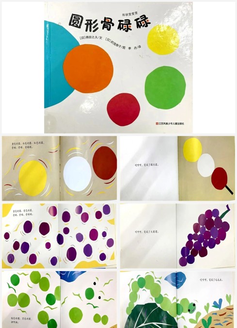 圆形骨碌碌-经典数学绘本PPT