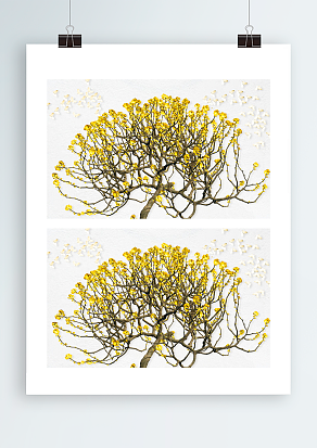 秋天的树北京帷幕设计