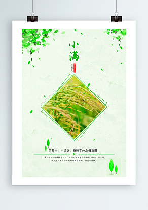 2020传统节气：小满者，物致于此小得盈满