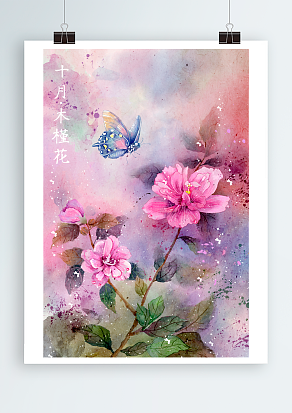 蔷薇目十月木槿花，娇艳美好