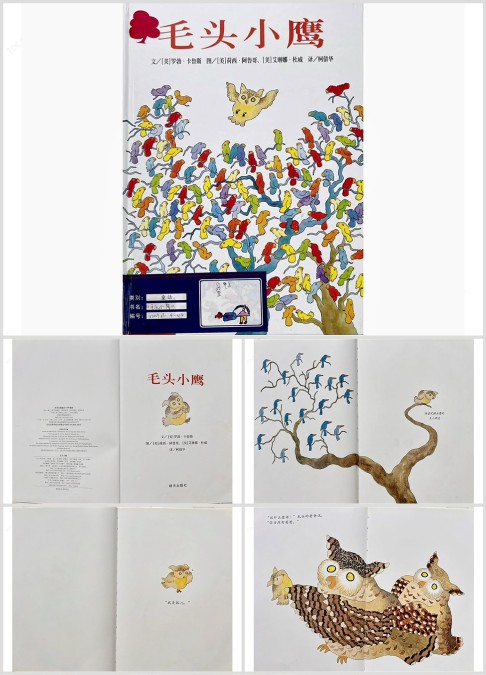 绘本故事——《毛头小鹰》